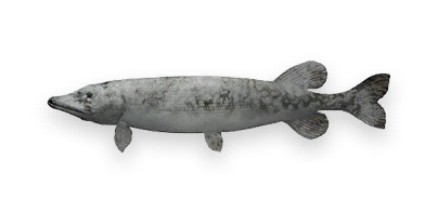 Frozen Northern Pike crafting recipe in Once Human