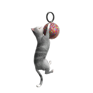 Weapon Charm: Extradimensional Cat