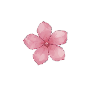 Sticker: Peach Blossom