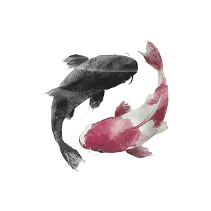 Sticker: Koi Carp