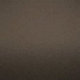 Color: Earth Tone - Weapon Cosmetic Paint Preset in Once Human