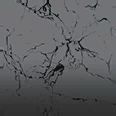 Color: Gray Spider's Web - Weapon Cosmetic Paint Preset in Once Human