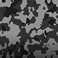 Color: Ash Cloud