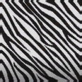 Color: Zebra Stripes