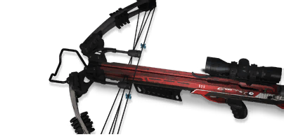 Compound Bow B.P.