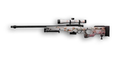 Blossoms - AWS.338