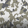 Fjord - Camo - Weapon Camo in Once Human