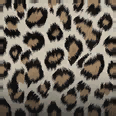 Jaguar - Camo