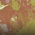 Anti-Rust - Camo