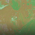 Toxic Waste - Camo