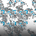 Mist - Camo