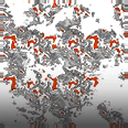 Rust - Camo