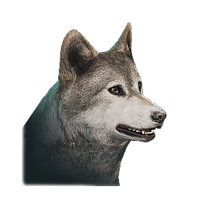 Wolf Cub - Livestock in Once Human