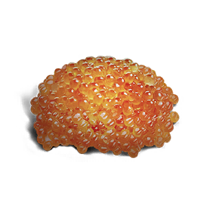 Roe - Food in Once Human