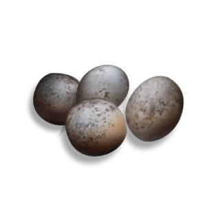 Crocodile Egg - Food in Once Human