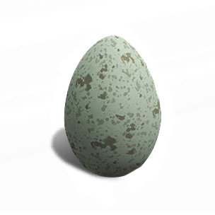 Pelican Egg - Food in Once Human