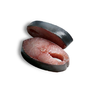 Shark Fillet