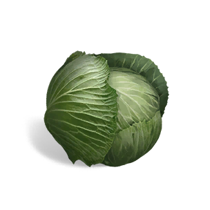 Cabbage - Food in Once Human