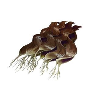 Seaweed - Food in Once Human