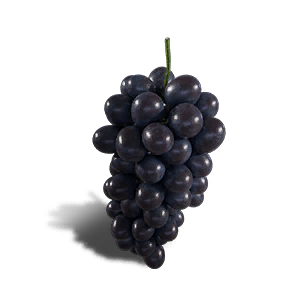 Grapes - Food in Once Human
