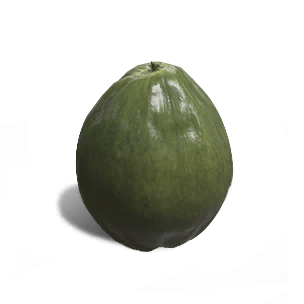 Coconut - Food in Once Human