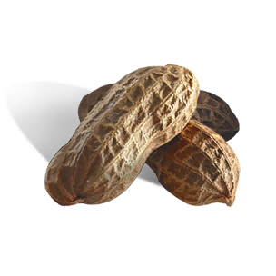 Peanut - Food in Once Human