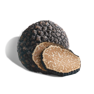 Truffle