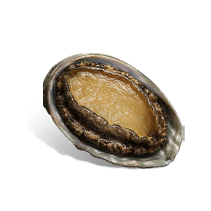 Abalone