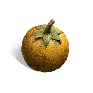 Tidal Fruit