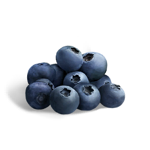 Contaminated Berries - Food in Once Human