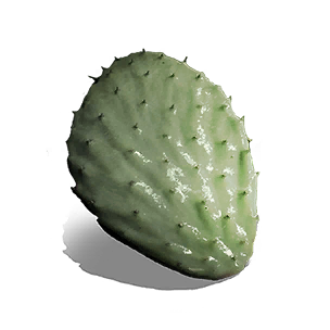 Cactus - Food in Once Human