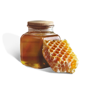 Honey - Food in Once Human
