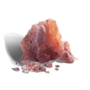 Rock Salt - Food in Once Human