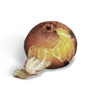Roasted Orange crafting recipe in Once Human