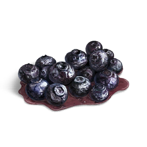 Roasted Blueberry crafting recipe in Once Human