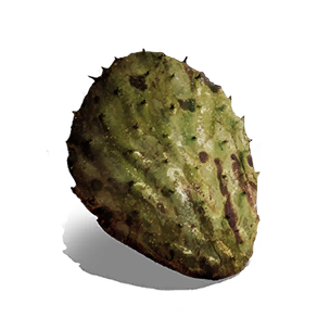 Dried Cactus crafting recipe in Once Human