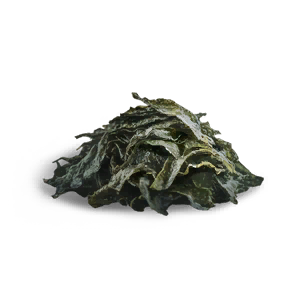 Grilled Seaweed crafting recipe in Once Human