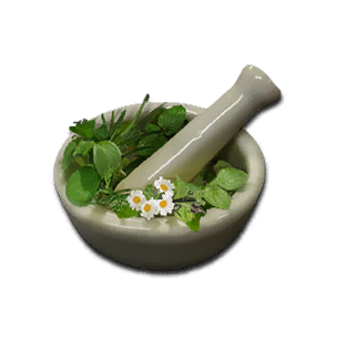 Healing Tisane - Consumables in Once Human