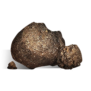 Bait with Mixed Spices crafting recipe in Once Human