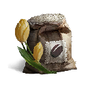 Yellow Tulip Seeds