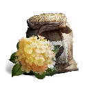 Yellow Hydrangea Seeds