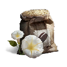 White Petunia Seeds