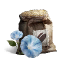 Blue Petunia Seeds