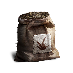 Aloe Vera Seeds