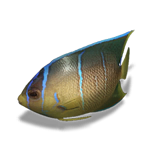 Angelfish (Purple Dawn) - Small Fish in Once Human