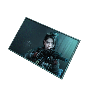 Namecard: Pioneer - Namecard in Once Human