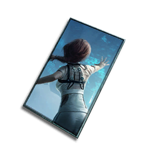 Theme: Zero Gravity