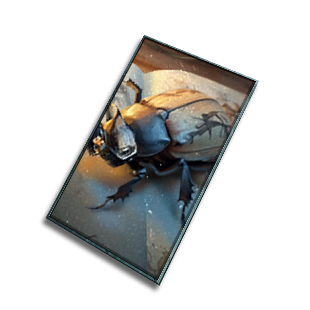 Namecard: Mini Museum