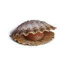 Tender Shellfish Meat Customize