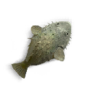 Bubble Fish Skin